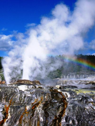 ＮＺ-51　テ・プイア内の間欠泉=噴出！=　☆地熱地帯の大迫力