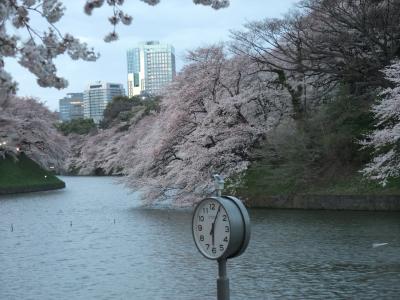 2010　桜見ごろで千鳥ヶ淵へ　皇居周辺を歩く