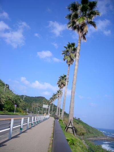 宮崎の旅　～日南海岸、青島～