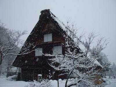 飛騨牛食べ歩き1日目~飛騨高山・白川郷