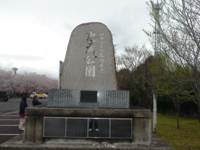 桜100選鹿児島編（忠元公園）