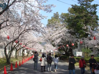 2010年4月　～　お花見　宇治駐屯地春の一般開放　～