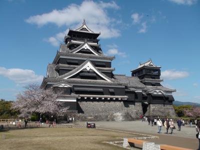 桜100選熊本編（熊本城）