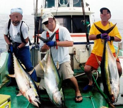 久米島パヤオ　キハダマグロの大物釣り