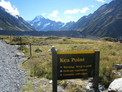 ニュージーランド旅行記 その4 (マウントクック・ケアポイント⇒テアナウ)