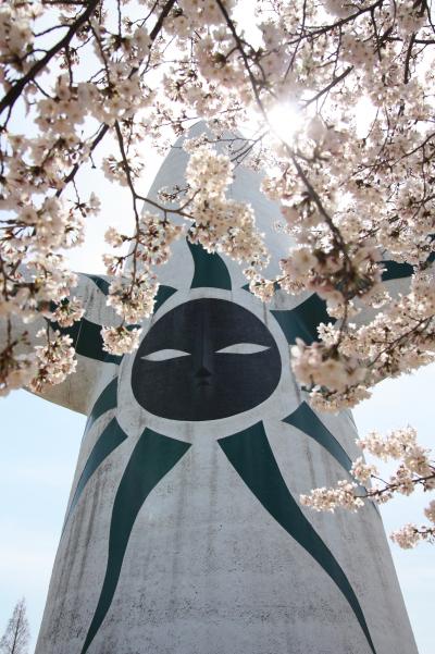 【大阪桜2010】 大阪随一の桜の名所 「万博記念公園」　