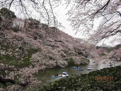2010年　お花見　～靖国神社・千鳥ヶ淵～