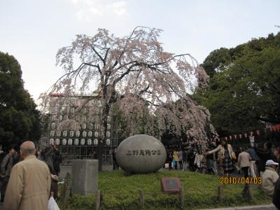 2010年　お花見～上野公園～　