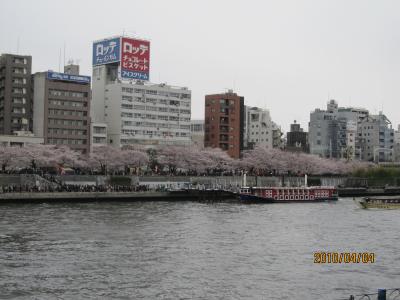 2010年　お花見～浅草・隅田川～