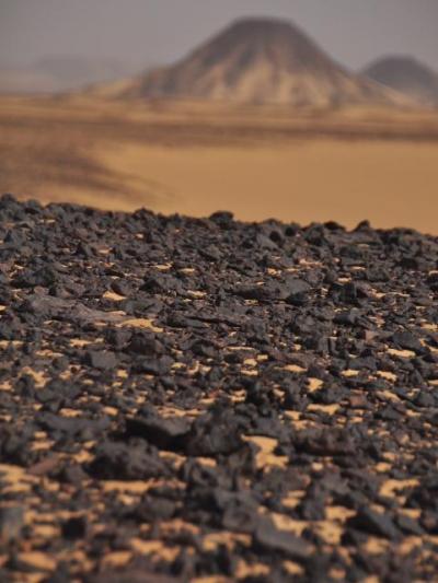 2010年春～バハレイヤオアシスで砂漠＆温泉を楽しむ週末