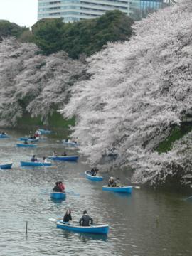 2010年東京の桜～千鳥ヶ淵