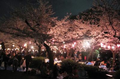 2010春、鶴舞公園の夜桜見学：ライトアップされた染井吉野、屋台