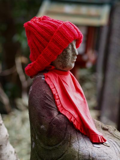 富士山への道?*・゜・*高尾山で山デビュー*・゜・*