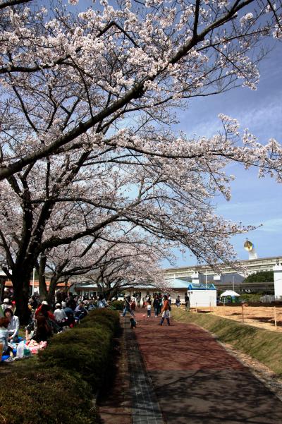 【大阪桜2010】 今こそ、農と言える日本へ 「ファームエキスポ」　