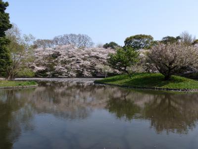 鎌倉~2010春・桜と海~