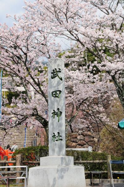 武田神社と護国神社　桜参り