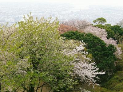 眉山で春を満喫