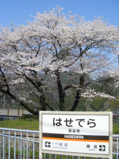お花見その２：奈良県長谷寺で桜♪