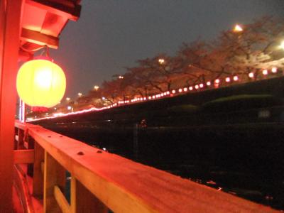 東京の桜　屋形船から桜にかんぱ～い！の巻