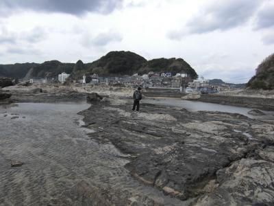 春休み安房鴨川の旅(１日目）仁右衛門島