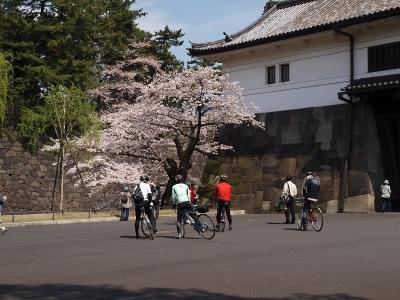 春　皇居前　後編　二重橋より　桜田門　桜