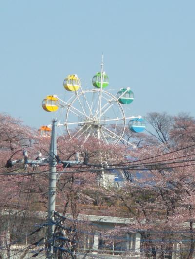 鹿沼市の桜２０１０．４．８