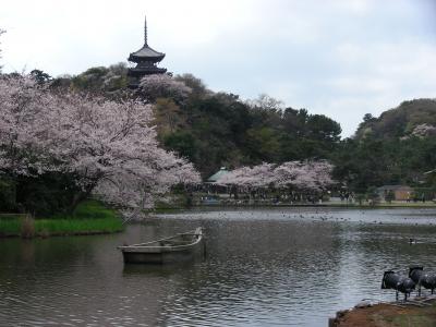 1004横浜～今年のお花見は三渓園♪＋露天風呂★とりあえず写真だけ