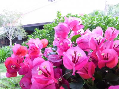 2010☆オクマで過ごすお正月