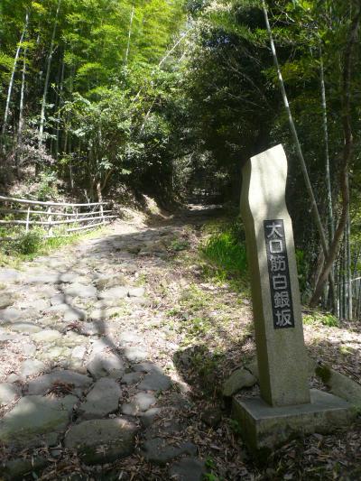 ▲かって・薩摩隼人は・白銀坂・龍門司坂・・これらの坂を越えました・・何かを変えようと。！