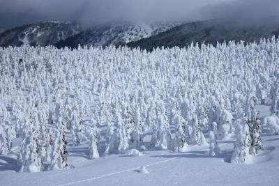2月11日『山形蔵王放浪』