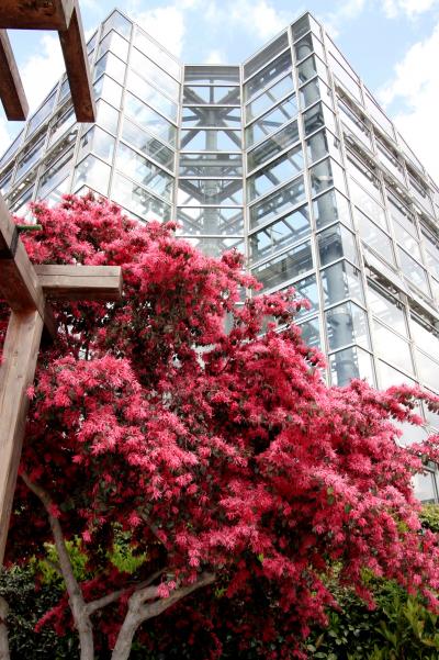 花の万博２０周年　花と緑に囲まれて、楽しさいっぱい 「咲くやこの花館」