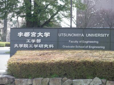 宇都宮大学工学部周辺の桜２０１０．４．９．