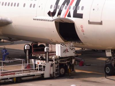 預けた荷物はここから飛行機へ積まれます。