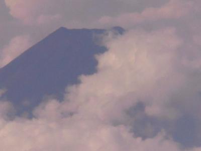 雲一面の上空から　偶然見る事が出来ました。　夏の富士山