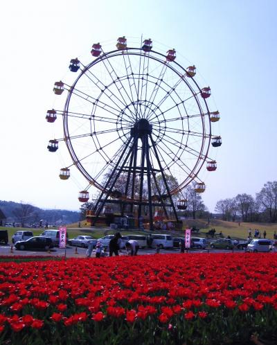東京ドイツ村のflower garden☆