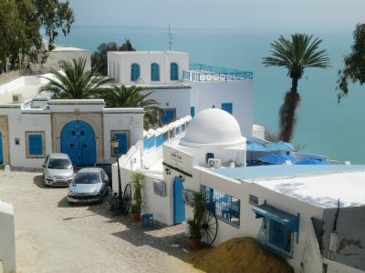 チュニジアンブルー　シディ・ブ・サイド