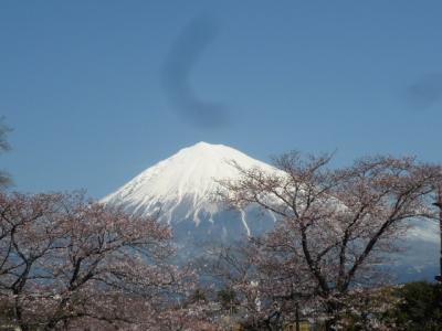 2010桜日記 第５弾  富士山と桜 