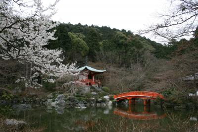 京都☆お花見バス旅
