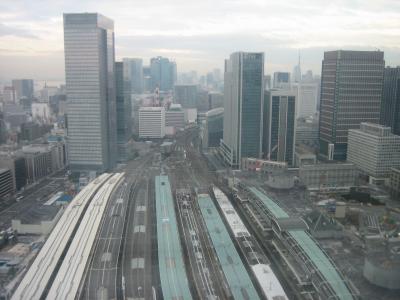 ２回目の日本出張帰国編（メトロポリタン丸の内～成田空港～）