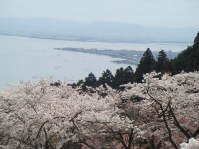 桜を求めて春の琵琶湖ぐるり１周