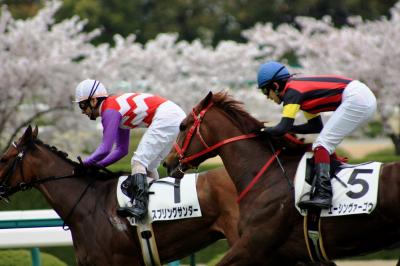 【兵庫桜2010】 満開の桜を背に、駿馬達が駆け抜ける 「阪神競馬場」