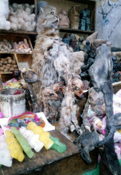 SAGARNAGA（サガルナガ）通りの魔除け屋の角で出会った、「三葉虫売り」