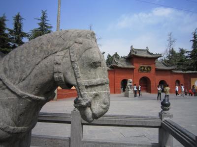 洛陽1★旅の始まりはがっかり牡丹園と白馬寺