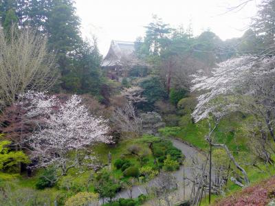 ⑤新装なった山門が映える成田山境内