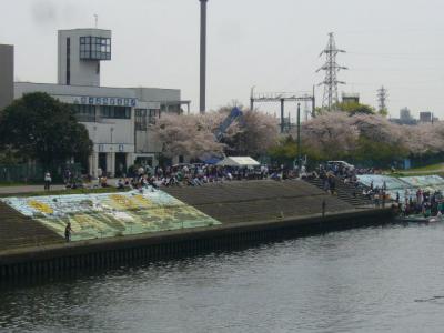 第４０回横浜市民ボートレースに参加しエイトを漕いだ