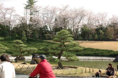 ２０１０年花見シリーズ２　第三新年会 兼 お花見会