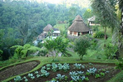 癒しの旅☆~バリ島・ウブド~Ⅰ