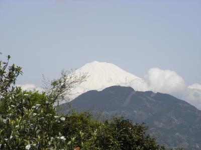 2010年　春漁解禁とはなったけど・・・由比で桜えび　