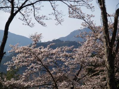 天空の城・竹田城の春