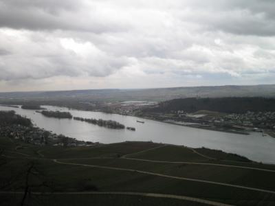 ライン川沿いの町リューデスハイム